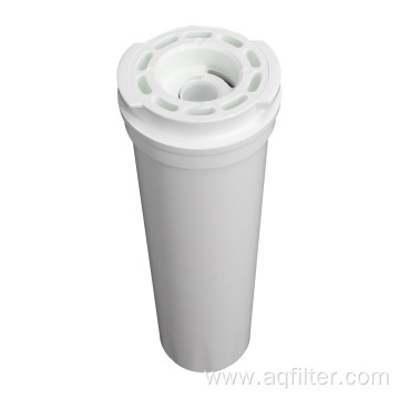 Fisher and Paykel 836848 water filter